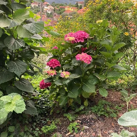 別荘 Casa Da Lage - Lake View - 