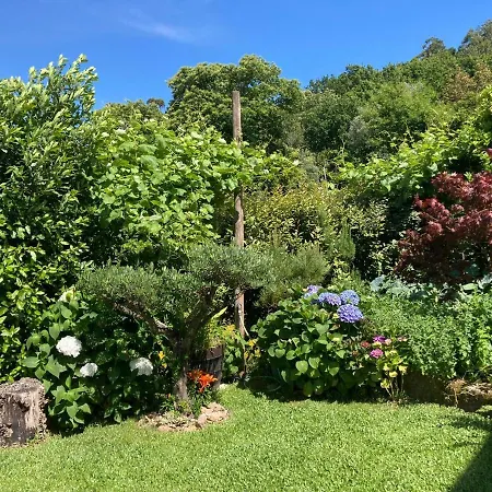 Casa Da Lage - Lake View - 