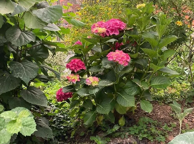 Сasa de vacaciones Casa da Lage - 2 lareiras - Piscina privada