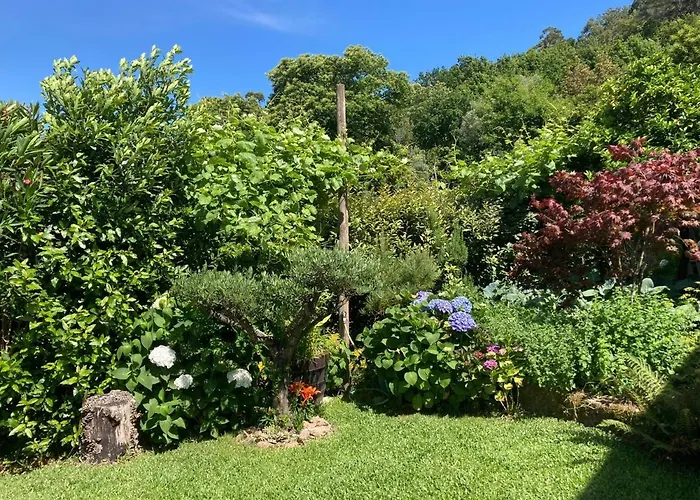 Casa Da Lage - Piscina Privada A Partir De 1 Abril - Vistas Rio - 